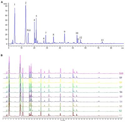 Antidiabetic Effect of Tibetan Medicine Tang-Kang-Fu-San in db/db Mice via Activation of PI3K/Akt and AMPK Pathways